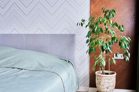 Rośliny, które oczyszczą powietrze w twoim domu