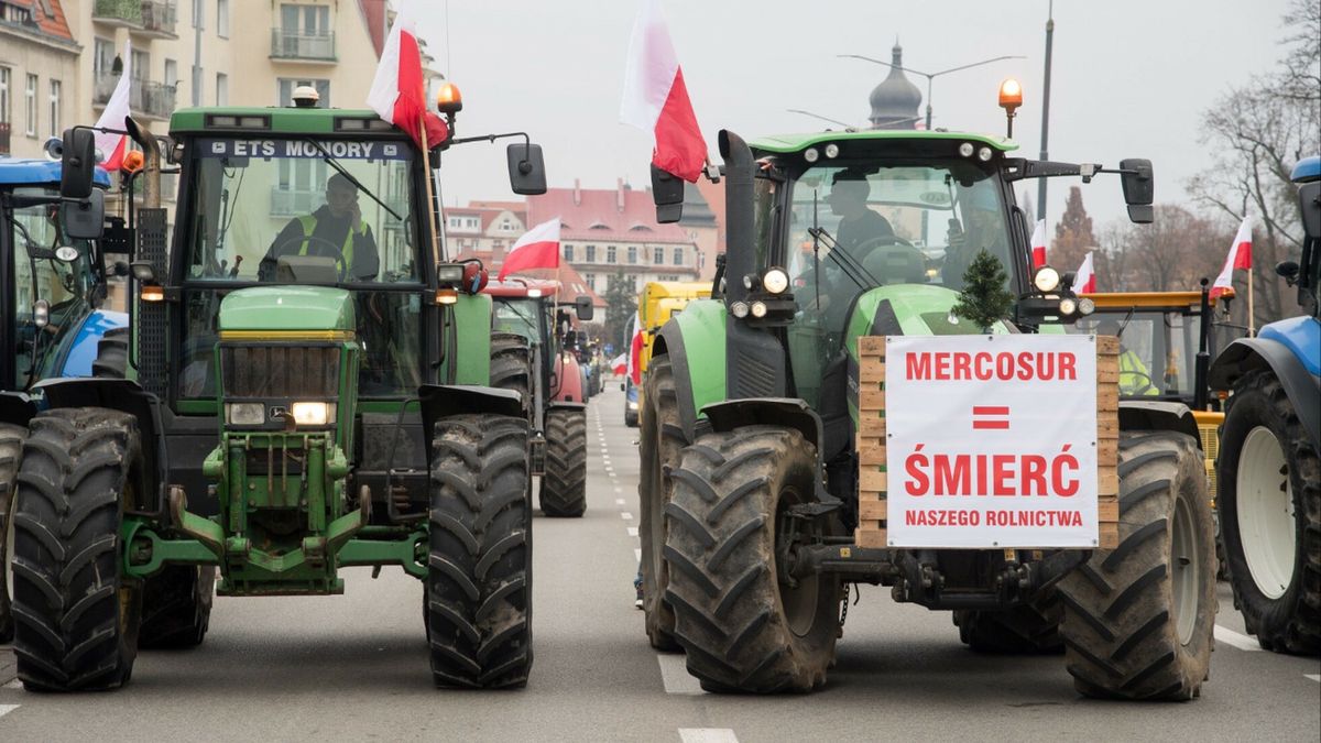 Przedstawiciele rolników komentują decyzję ws. umowy UE-Mercosur