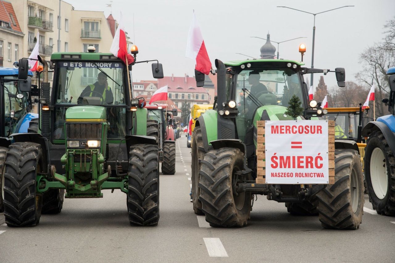 Umowa UE-Mercosur przyjęta. Rolnicy: to jakieś nieporozumienie