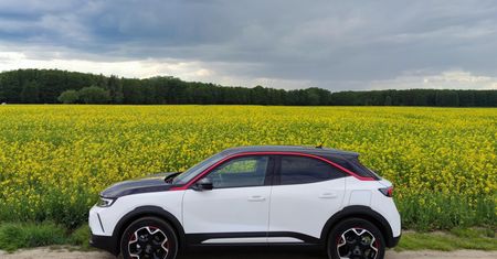 Sezon na zdjęcia w rzepaku. Czytelnicy dzielą się swoimi fotografiami