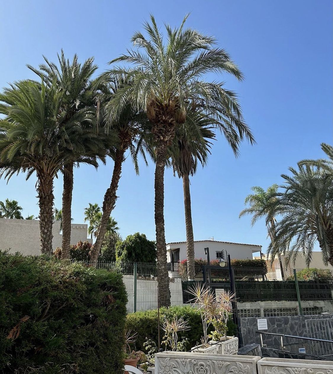 Olga Frycz w bikini relacjonuje pobyt na Teneryfie