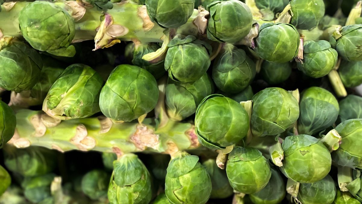 background of fresh brussels sproutsfresh brussels sproutsCatherine McQueen