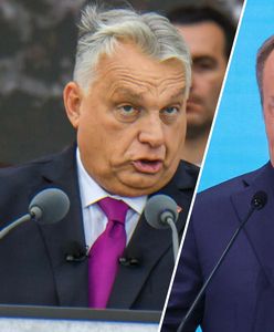 "To wszystko jest zagrożone". Tusk wskazał na Orbana