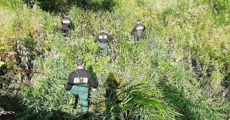 Policja przeczesała teren w Łódzkiem. Makabryczne odkrycie