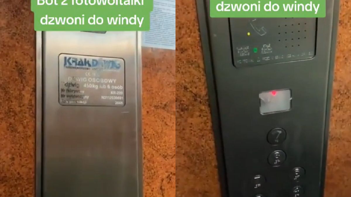 Nie mogli uwierzyć w to, co usłyszeli