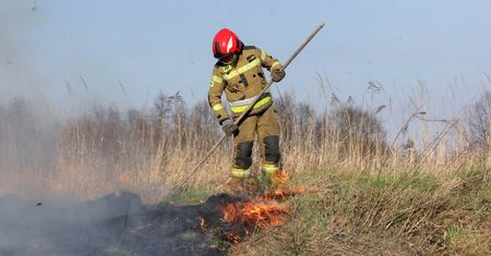 Wypalanie traw. Oto ilu rolników straciło z tego powodu dopłaty