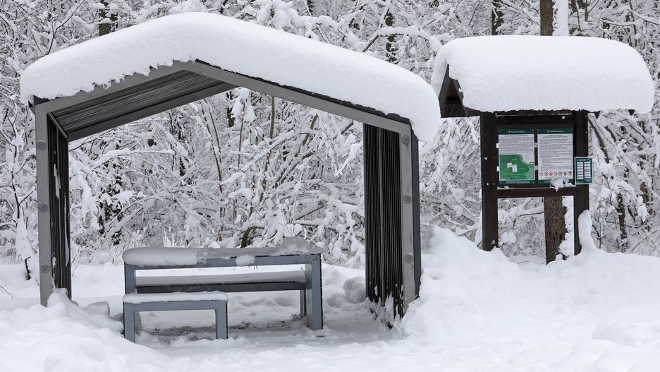 Pogoda. Wrocław. 31 stycznia 2021 - nawet -13 st. C w nocy. Ocieplenie dopiero w czwartek