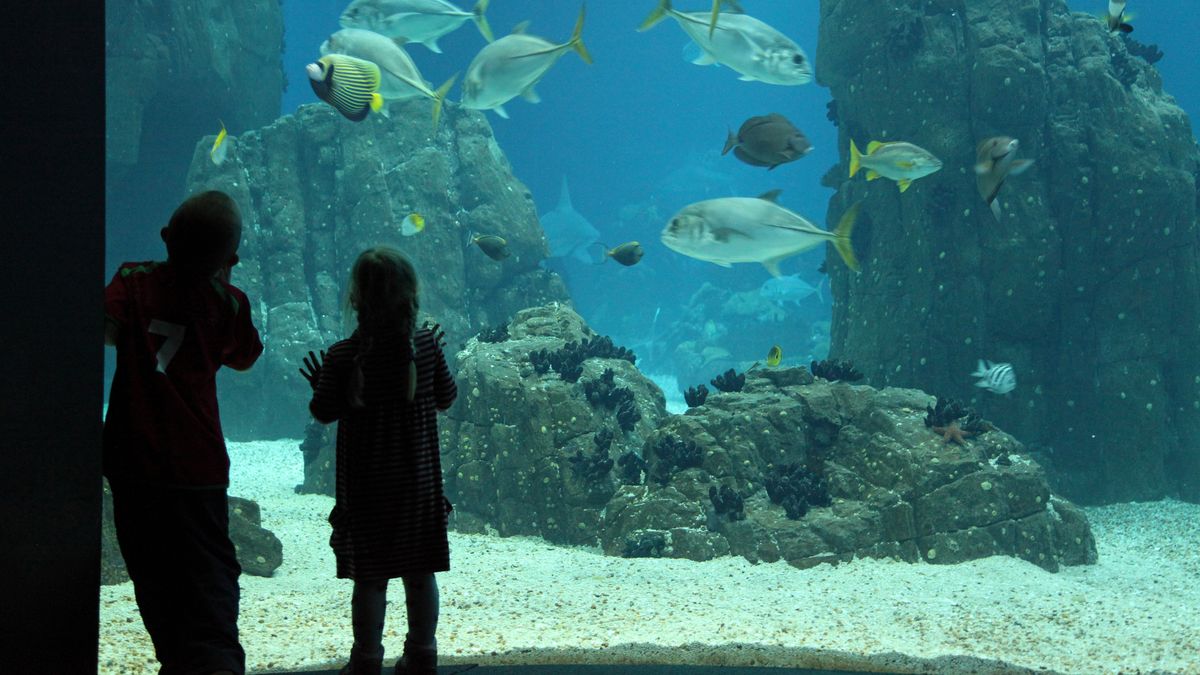Oceanarium w Lizbonie przyciąga turystów