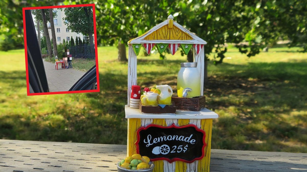 Chłopiec sprzedaje lemoniadę. W sieci zawrzało