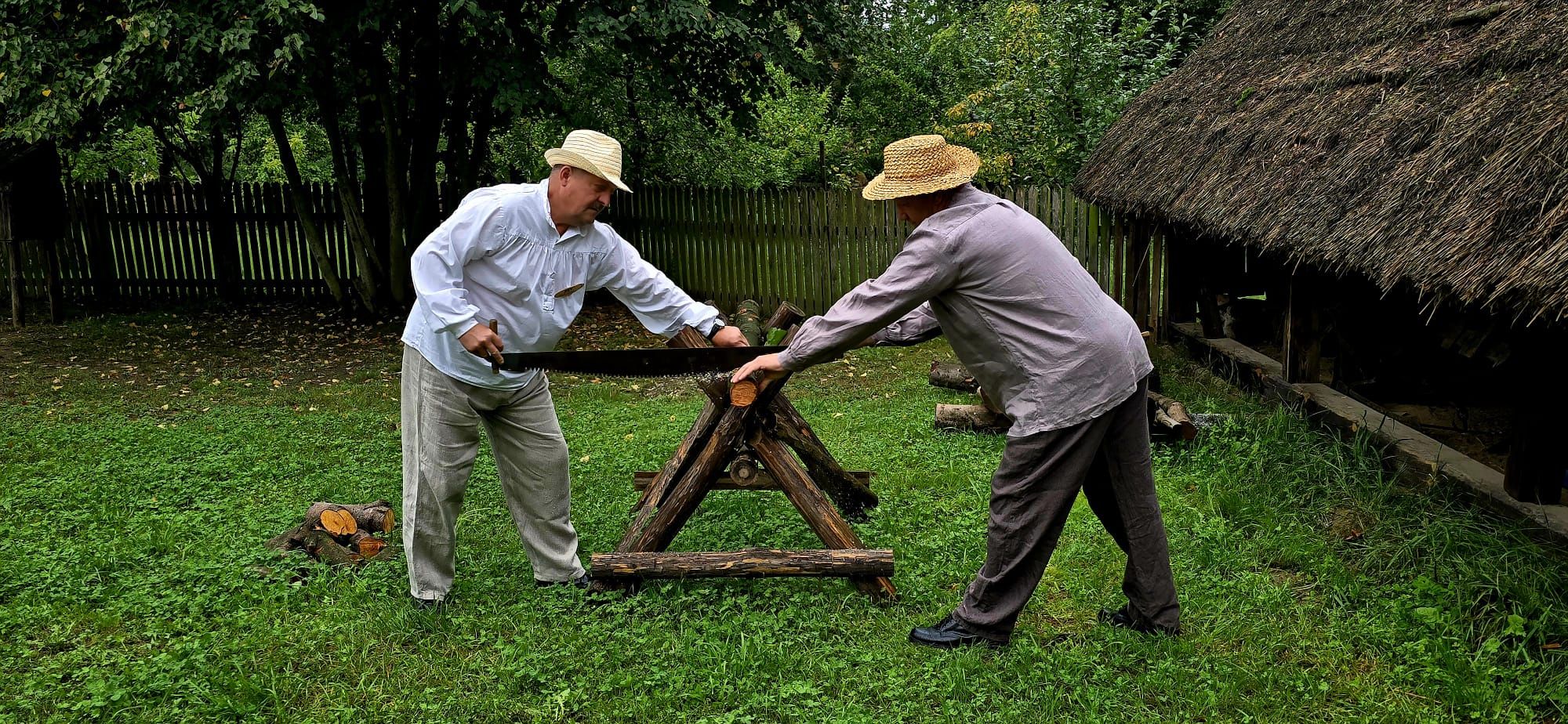 Wykopki 