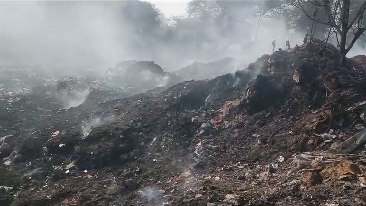 GURUGRAM, INDIA  DECEMBER 9: A fire broke out in Tauru forest area after illegal industrial chemical waste dumped caught fire and spread inside the forest leaving hundreds of trees turned into ashes, on  December 9, 2023 in Gurugram, India. (Photo by Parveen Kumar/Hindustan Times via Getty Images)