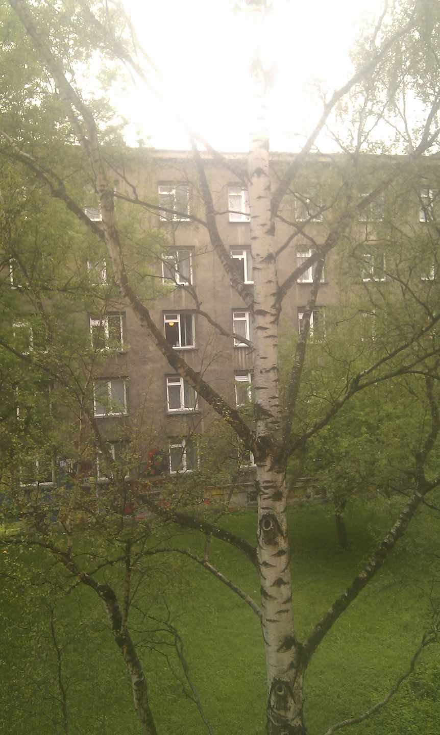 HTC Desire - test 15