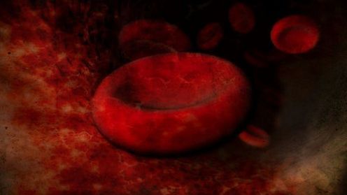 Komórka i iPod zasilane... krwią 1