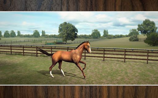 MyHorse