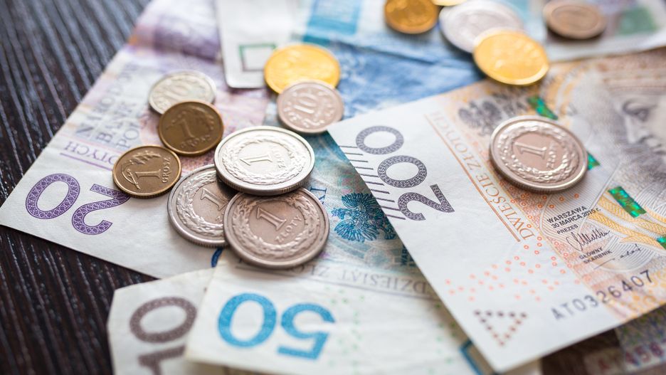 Stack of polish zloty banknotes and coinsmoney, polish, zloty, rich, white, currency, background, bill, b