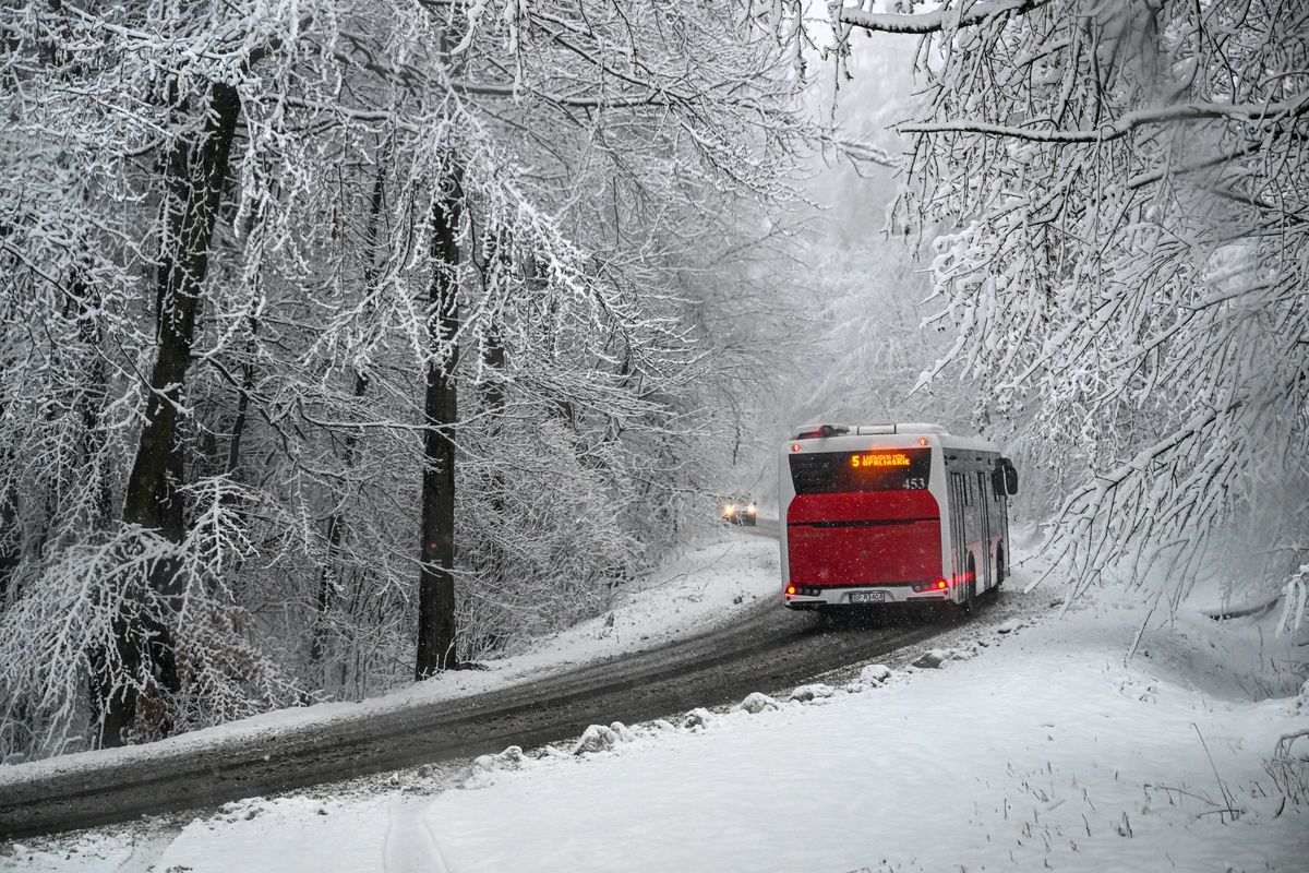 Śnieżyca zasypie Polskę. Możliwy paraliż na drogach i przerwy w dostawach prądu