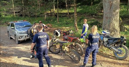 Plaga w Karkonoszach. Cross na leśnych ścieżkach