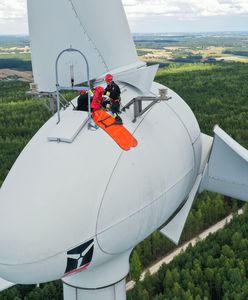 Nowy zawód na rynku. Praca od ręki