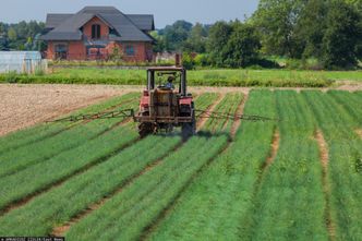 Glifosat w produktach zbożowych. GIS przebada 80 tys. próbek żywności