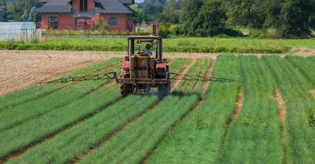 Glifosat w produktach zbożowych. GIS przebada 80 tys. próbek żywności