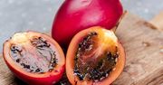 Tamarillo – sekrety egzotycznego owocu