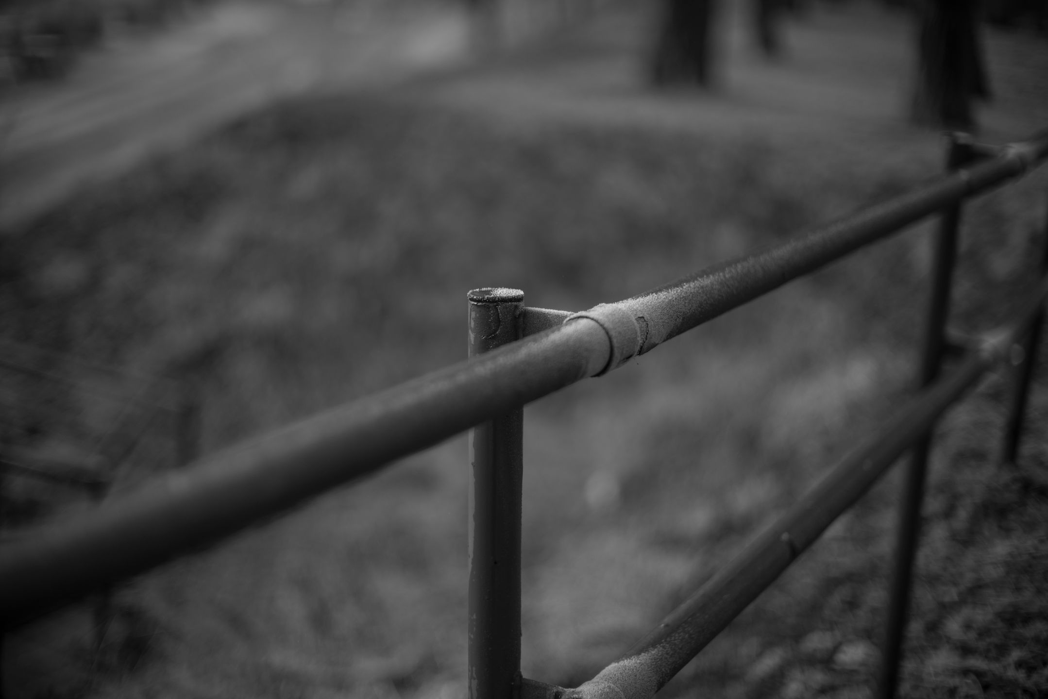 Voigtländer VM 50 mm f/1.1 Nokton - bardzo jasna pięćdziesiątka, która kreuje własną rzeczywistość [test] 22
