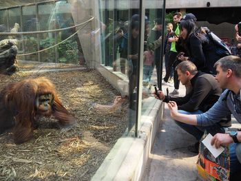 Łódź: Voucher do Orientarium na mikołajki albo pod choinkę. Już w sprzedaży
