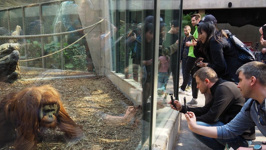 Voucher to dobry pomysł na upominek również dla tych, którzy jeszcze  nie odwiedzili Orientarium.