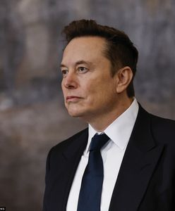 "Złowieszcza oś Musk-AfD". Co to oznacza dla Polski? [OPINIA]