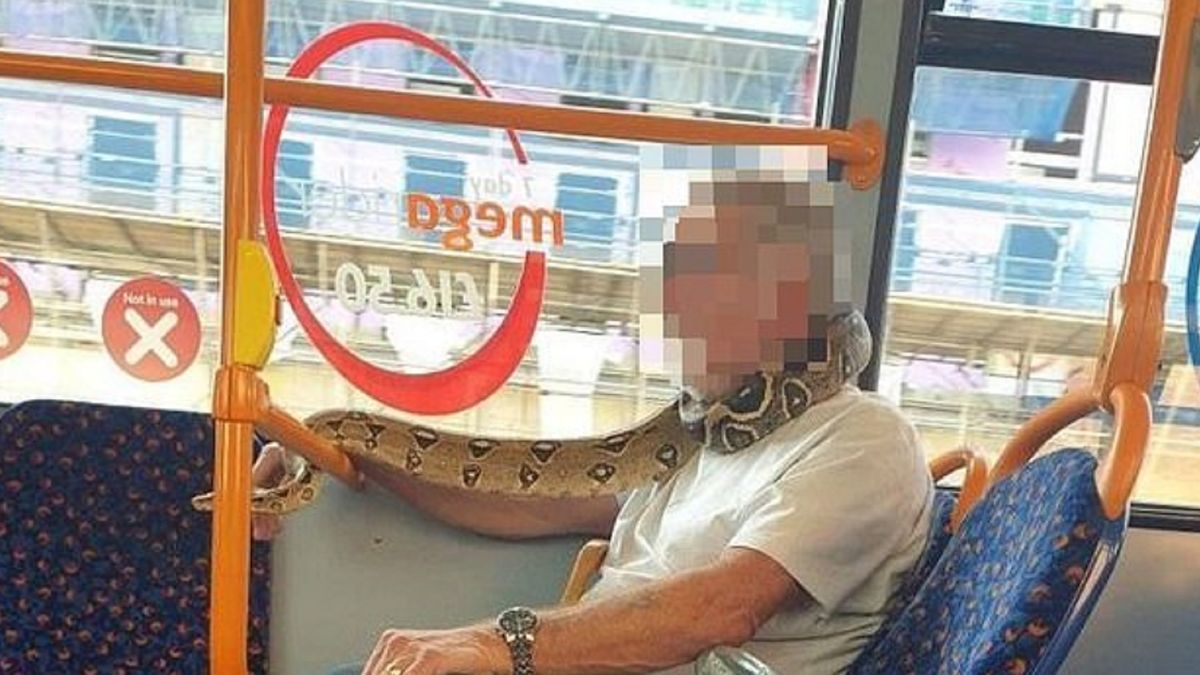 Zdjęcie dnia. Maseczka ochronna zrobiona z...żywego węża. "Nikt w autobusie się nie przejął" 1