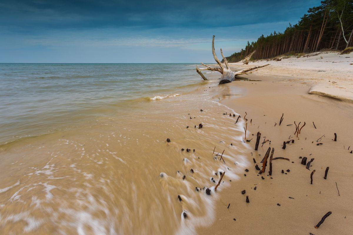 Plaża w Karwieńskich Błotach Drugich