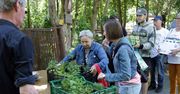 Grudziądz: Kwiaty za darmo, koncerty i inne atrakcje