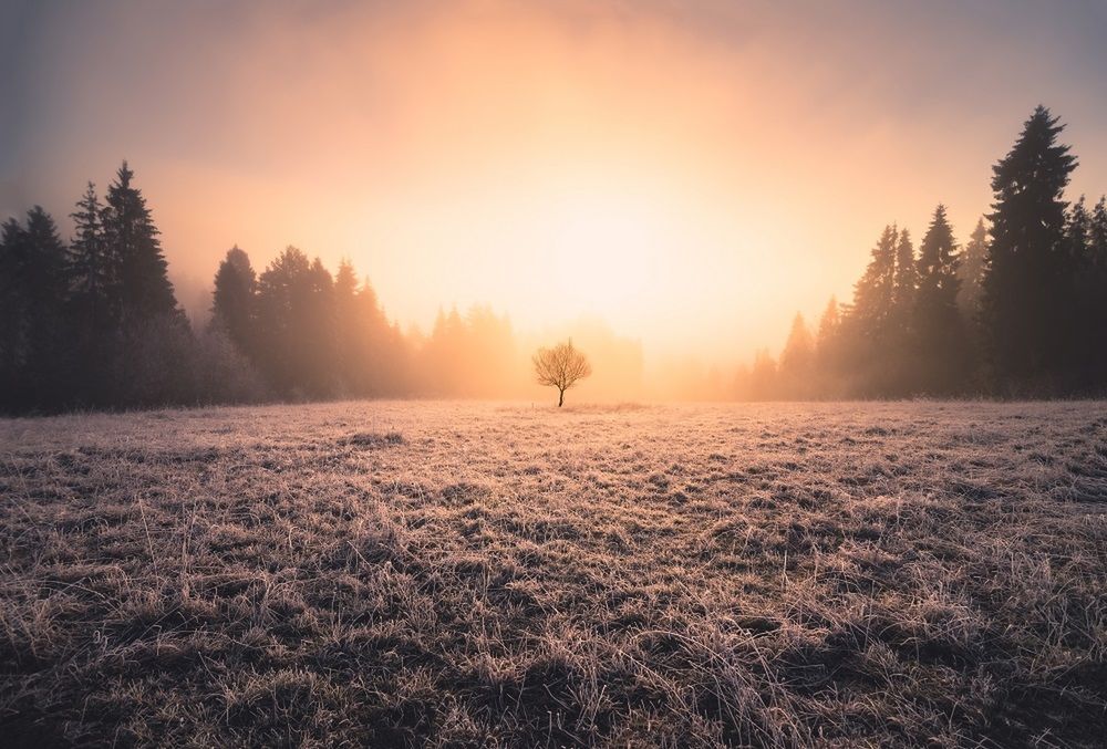 Zdjęcia wykorzystane za zgodą autora.