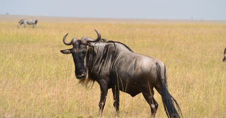 GNU Guix 1.0: menendżer pakietów i dystrybucja dla programisty