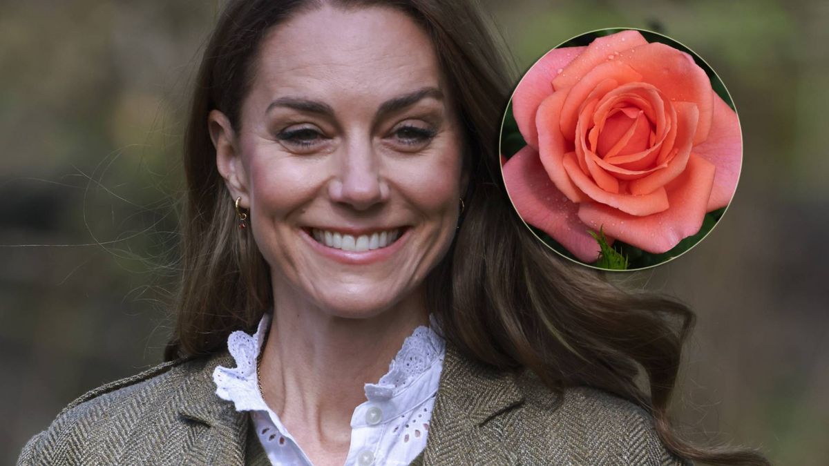 Róża na cześć księżnej Kate