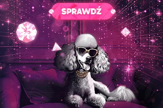 Pudelek VIP jest wygaszany. Zmiana strategii