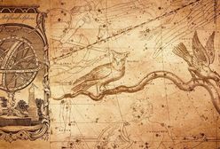 Horoskop dzienny na wtorek. To będzie dobry dzień dla znaków zodiaku