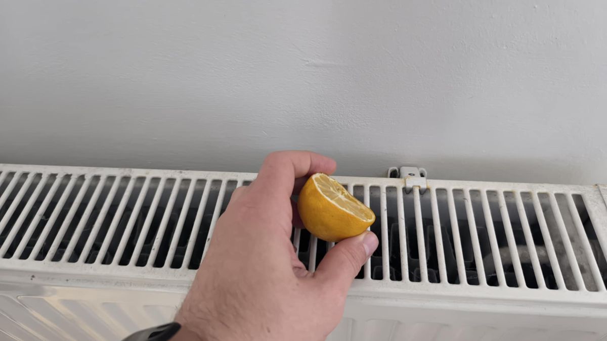 Dlaczego warto położyć cytrynę na kaloryferze?