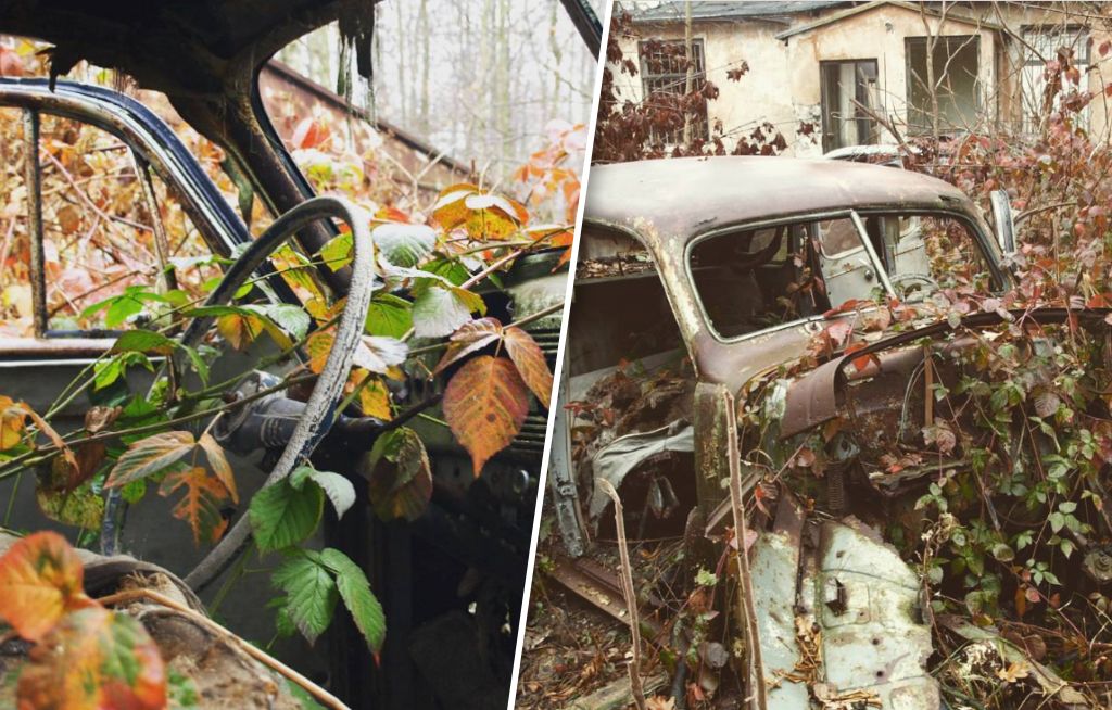 Grodzisk Mazowiecki: Cmentarzysko aut niedaleko Łodzi. Zaskakujące miejsce w lesie. Kiedyś to była niesamowita kolekcja! Dzisiaj zapomniana