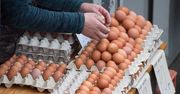 Brakuje jaj, ceny rosną. Co czeka nas przed Bożym Narodzeniem?