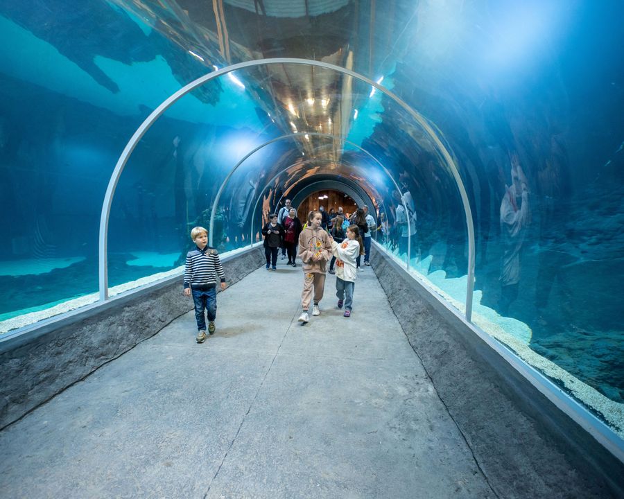 Podwodny tunel w łódzkim Orientarium