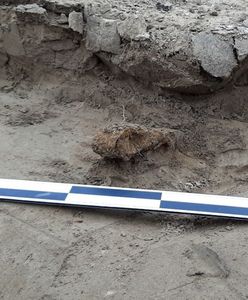 Grób całopalny i przedmioty sprzed tysięcy lat. Sensacyjne odkrycie na Dolnym Śląsku