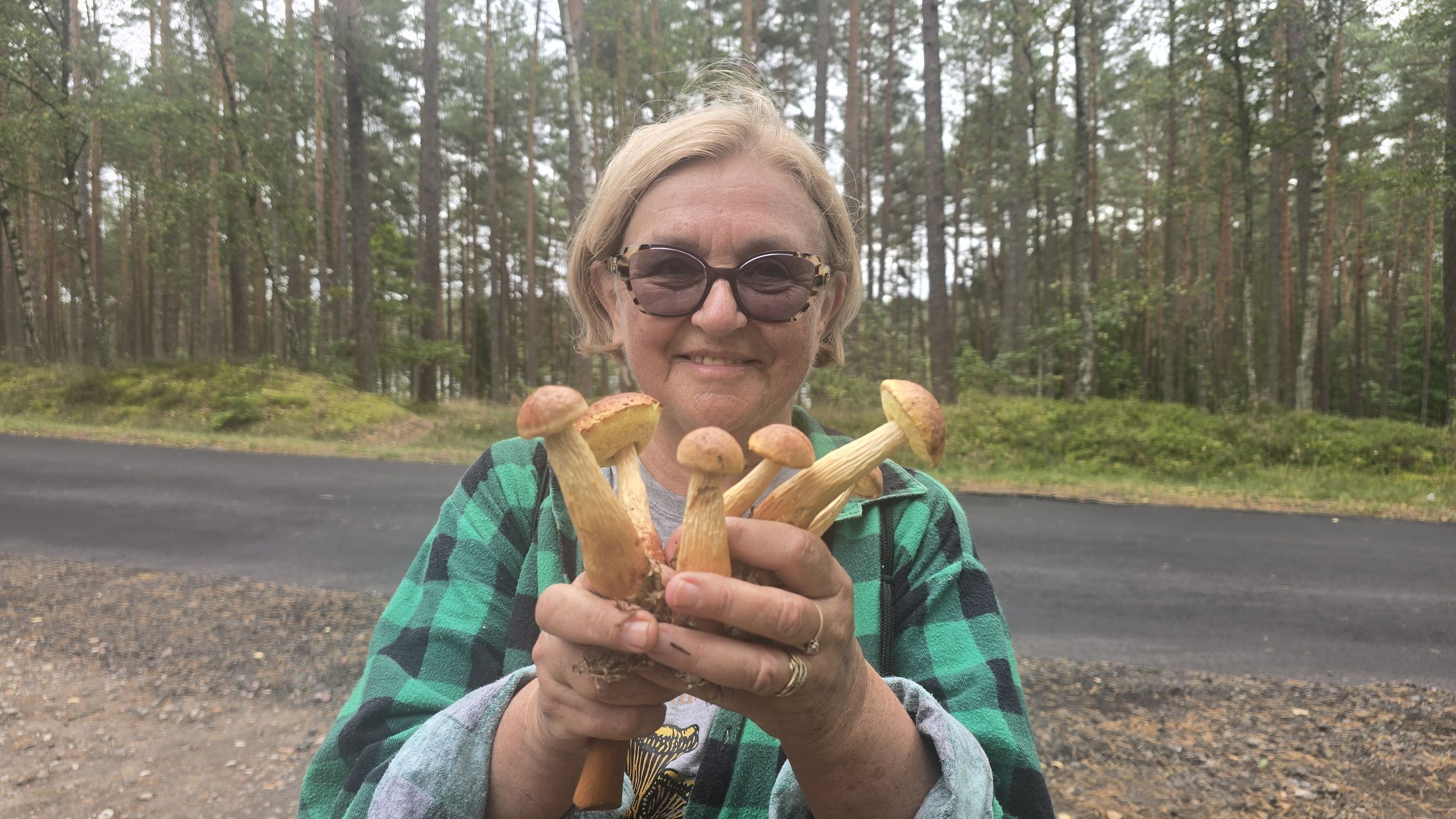 Borowiki amerykańskie.