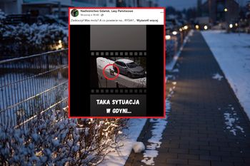 To nie kot. W Gdyni wypatrzyli niezwykłego "nocnego spacerowicza"