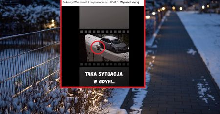To nie jest fotomontaż. Zobaczcie, co chodziło ulicami Gdyni