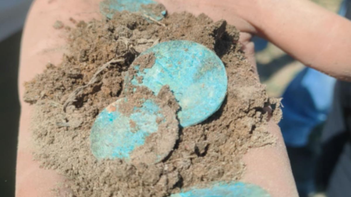 Odkrycie w Bukowcu Wielkim – skarb srebrnych monet z XVII wieku