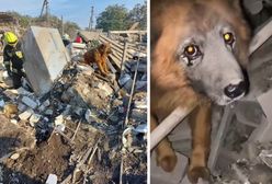 To nagranie rozdziera serce. "Widziałem dziś piekło od środka"