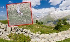 Katastrofa w Alpach. Śmigłowiec rozbił się w pobliżu lodowca