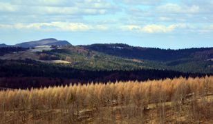 Nie Tatry, nie Bieszczady. To miejsce na południu Polski przyciąga turystów swoją dzikością