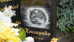 Łódź: Tu upamiętnisz zwierzęcych przyjaciół